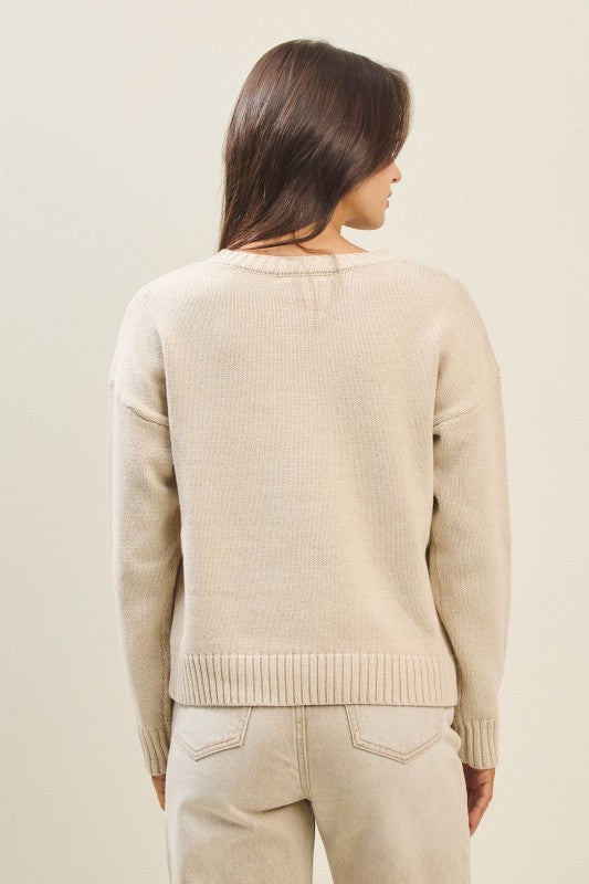 Dog with Bow Sweater