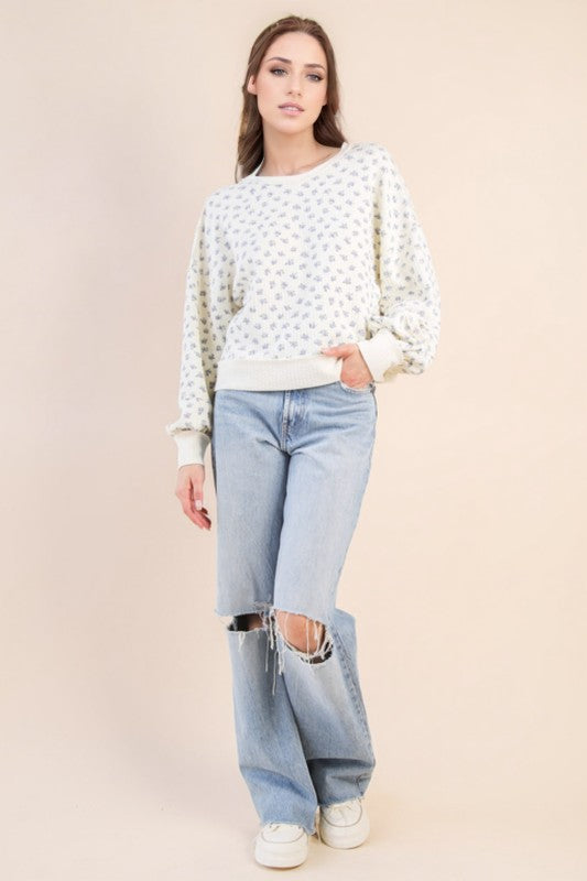 Cream & Blue Floral Knit Top