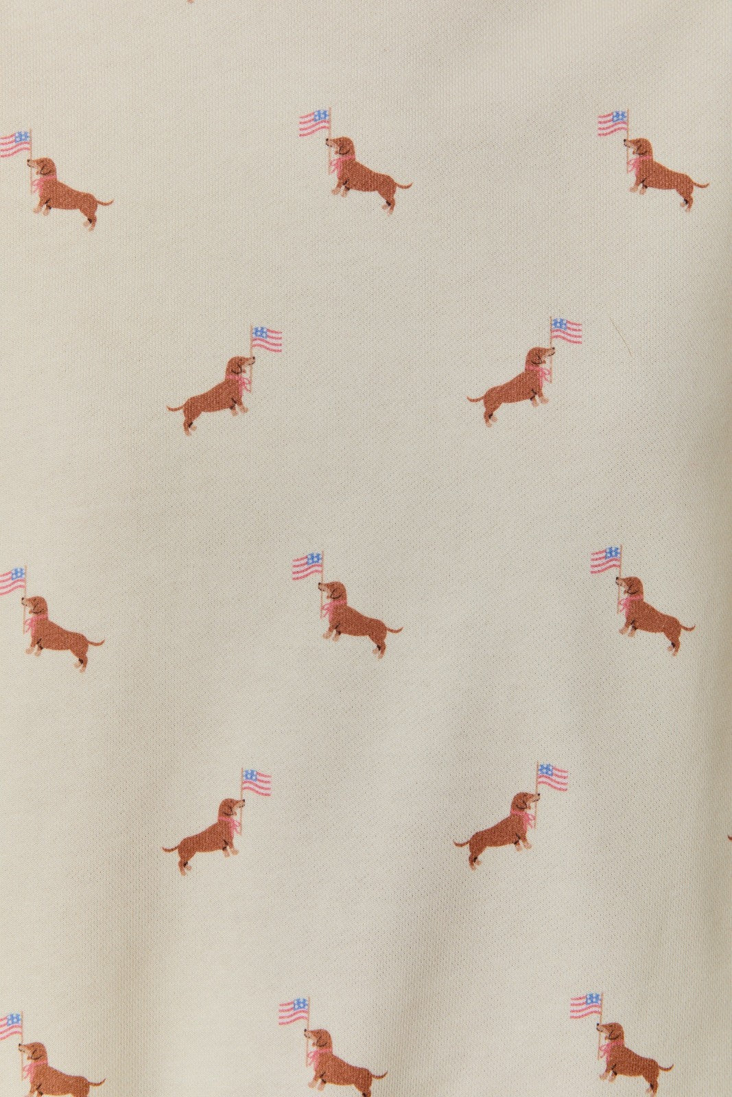 Round Neck Usa Dog Graphic Print Sweatshirt & Shorts Set