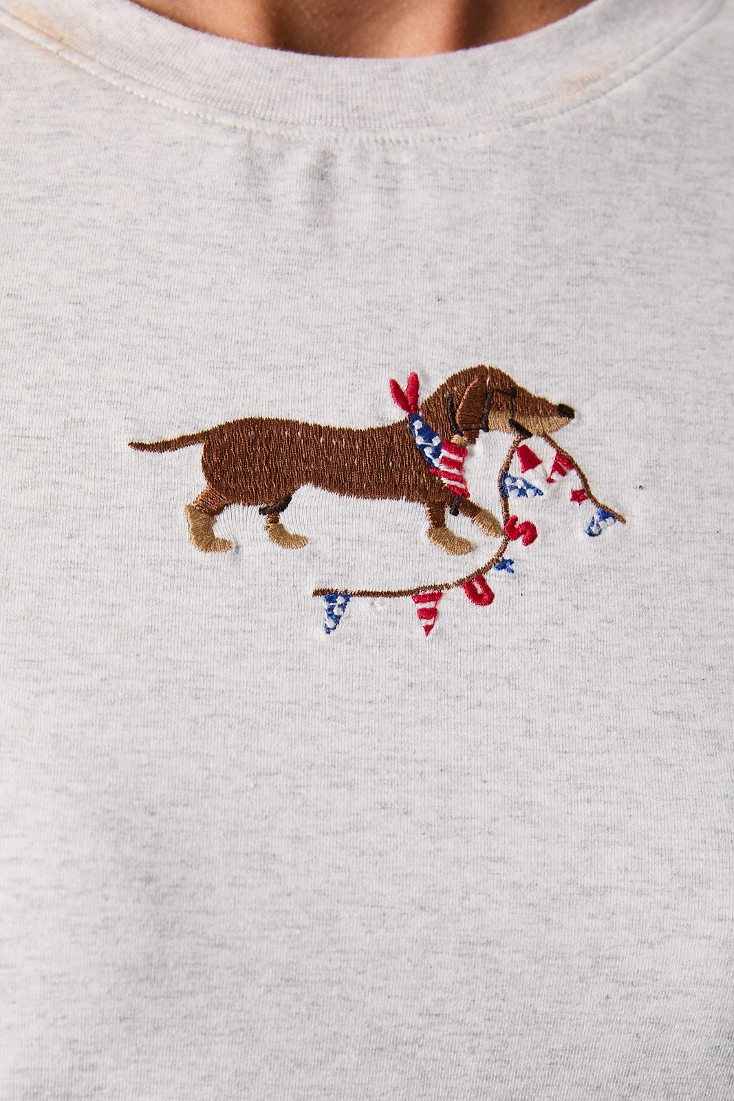 USA Dog Embroidered T-Shirt