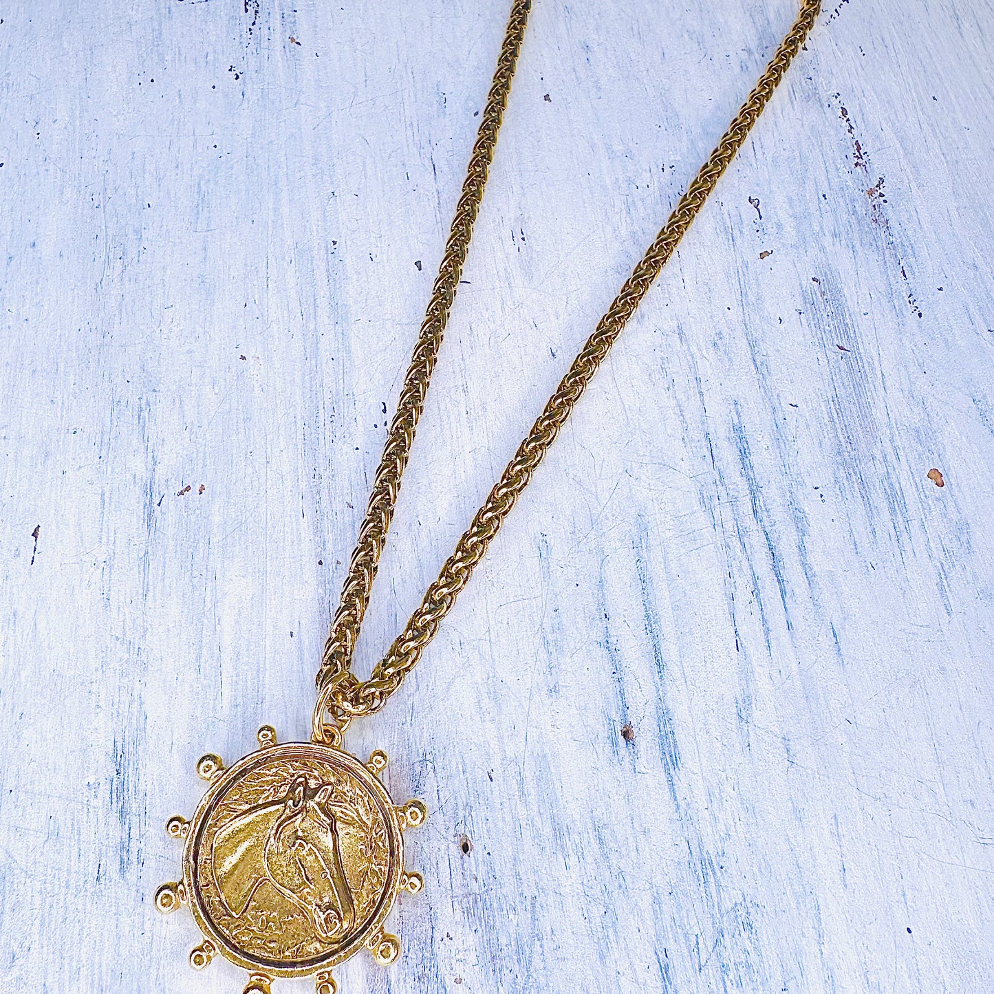Yochi NY Horse Medallion Chain Necklace
