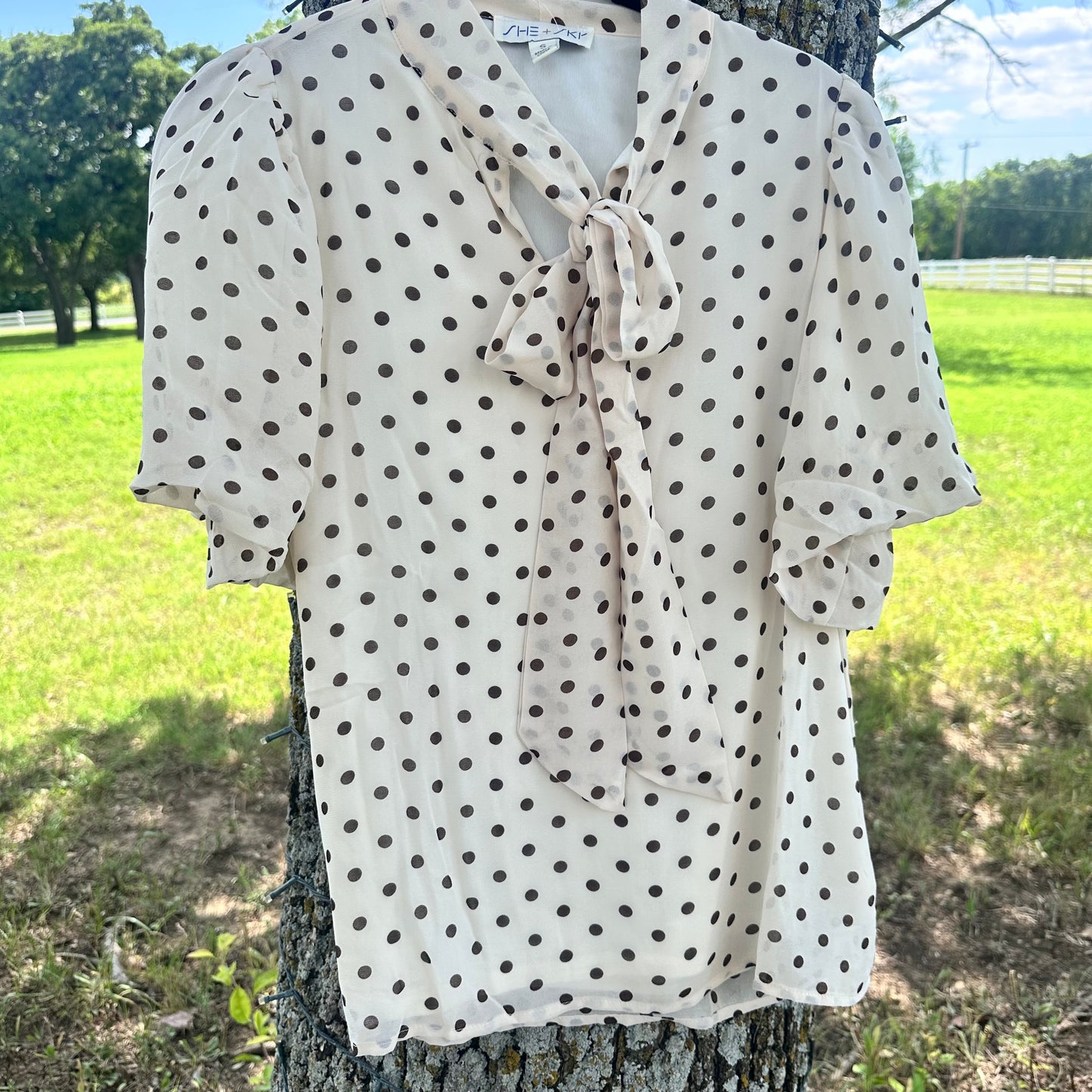 Cream Puff Sleeve Polka Dot Top With Bow