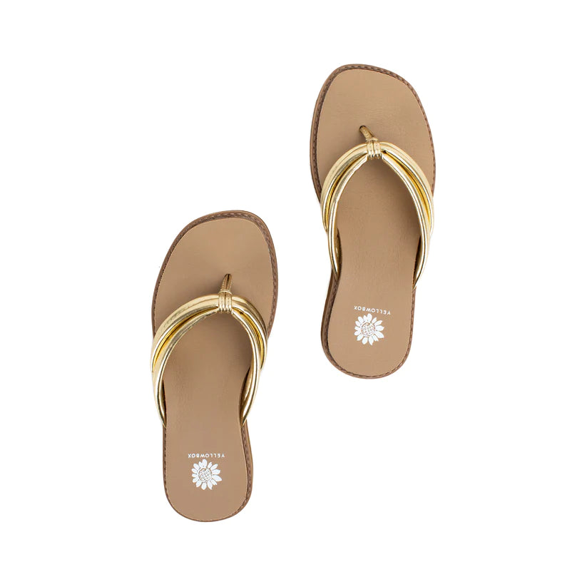 Yellow Box Hasani Gold Sandal