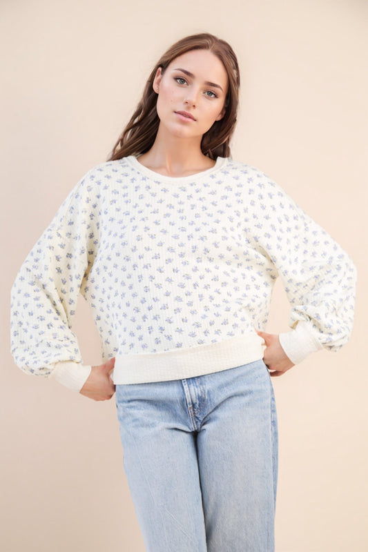 Cream & Blue Floral Knit Top