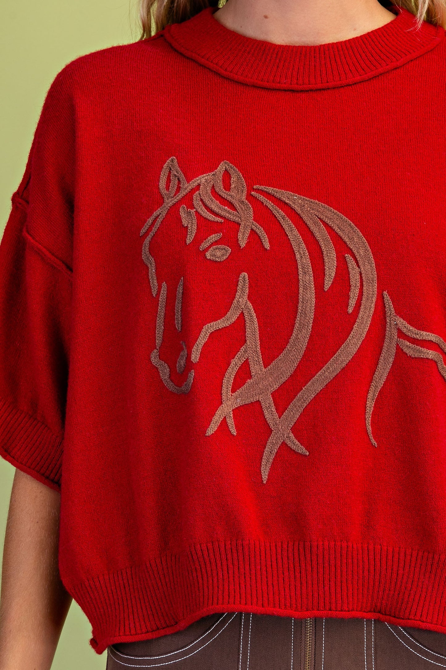 Horse Motif Red Sweater