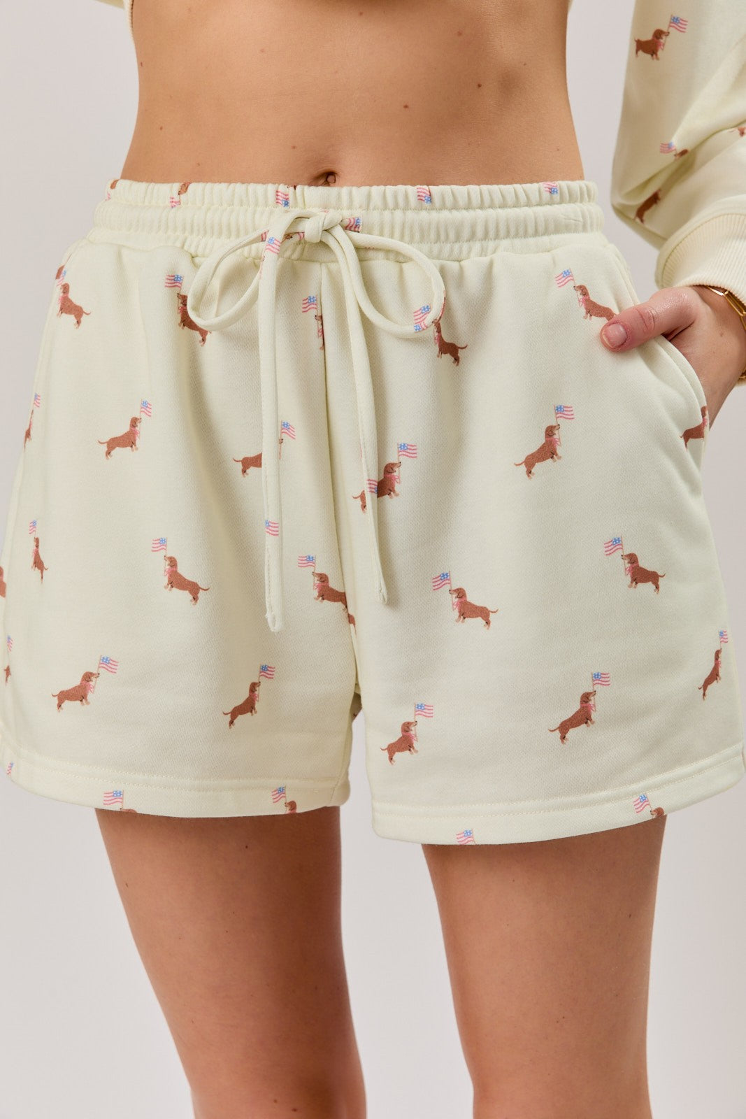 Round Neck Usa Dog Graphic Print Sweatshirt & Shorts Set
