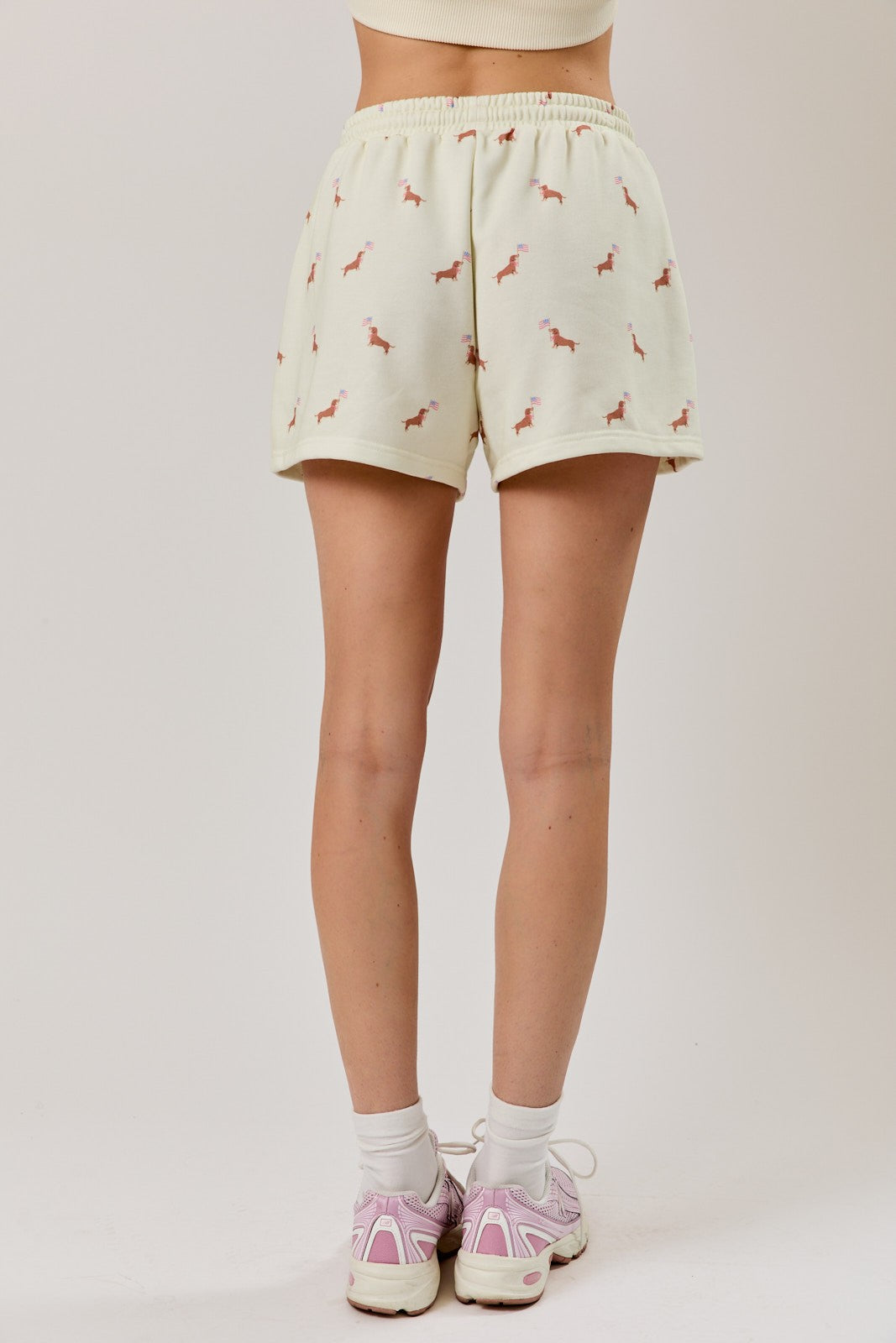Round Neck Usa Dog Graphic Print Sweatshirt & Shorts Set