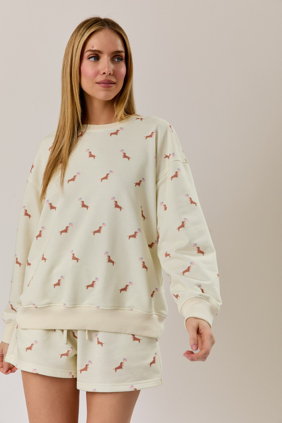 Round Neck Usa Dog Graphic Print Sweatshirt & Shorts Set