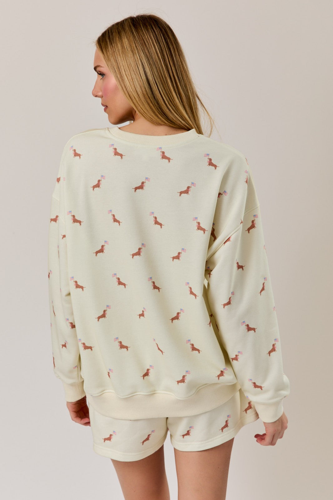 Round Neck Usa Dog Graphic Print Sweatshirt & Shorts Set