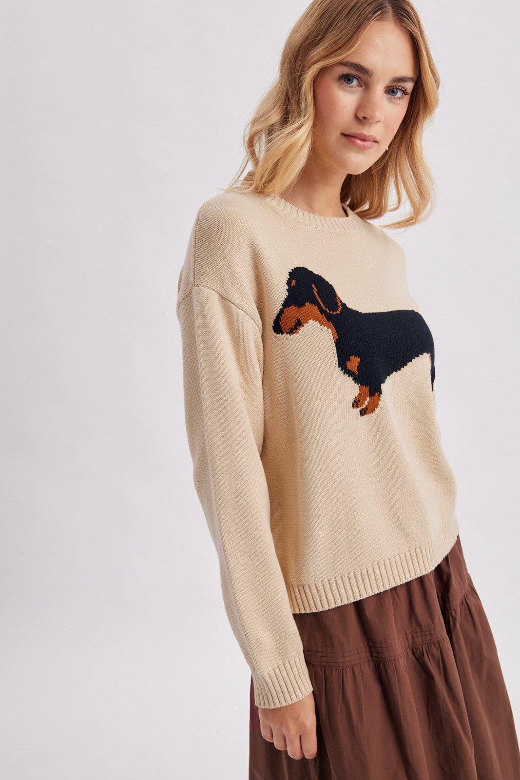 Dachshund Graphic Knit Sweater