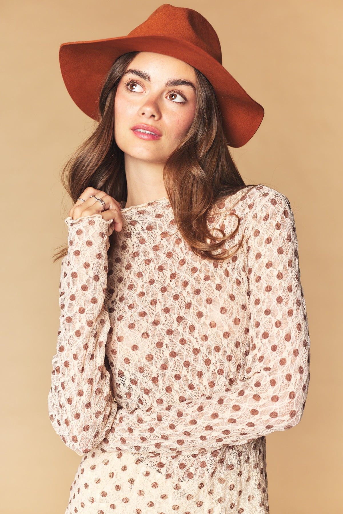 Taupe Dot Mesh Sheer Long Sleeve Top
