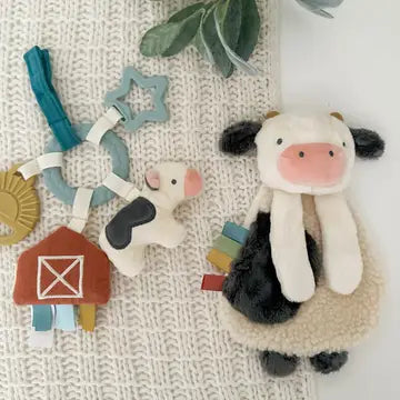Bitzy Busy Baby Gift Set
