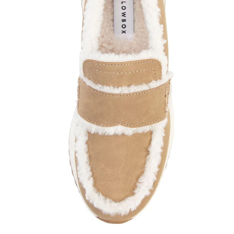 Yellow Box Ripley Shearling Loafers