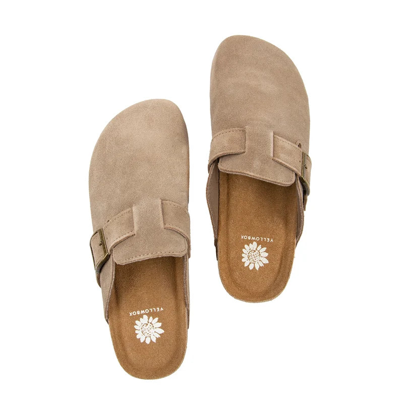 Yellow Box Maire Mule- Dark Taupe