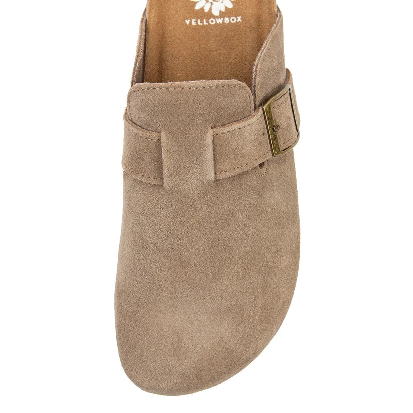 Yellow Box Maire Mule- Dark Taupe