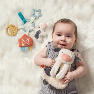 Bitzy Busy Baby Gift Set