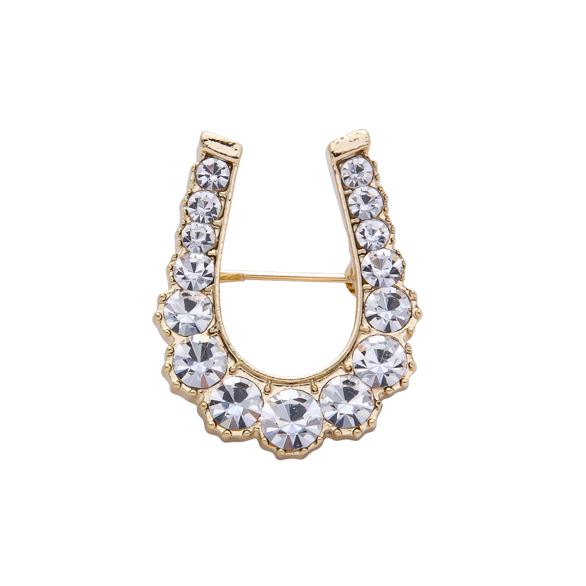Gold Diamond Horseshoe Gradient Crystal Brooch Pin