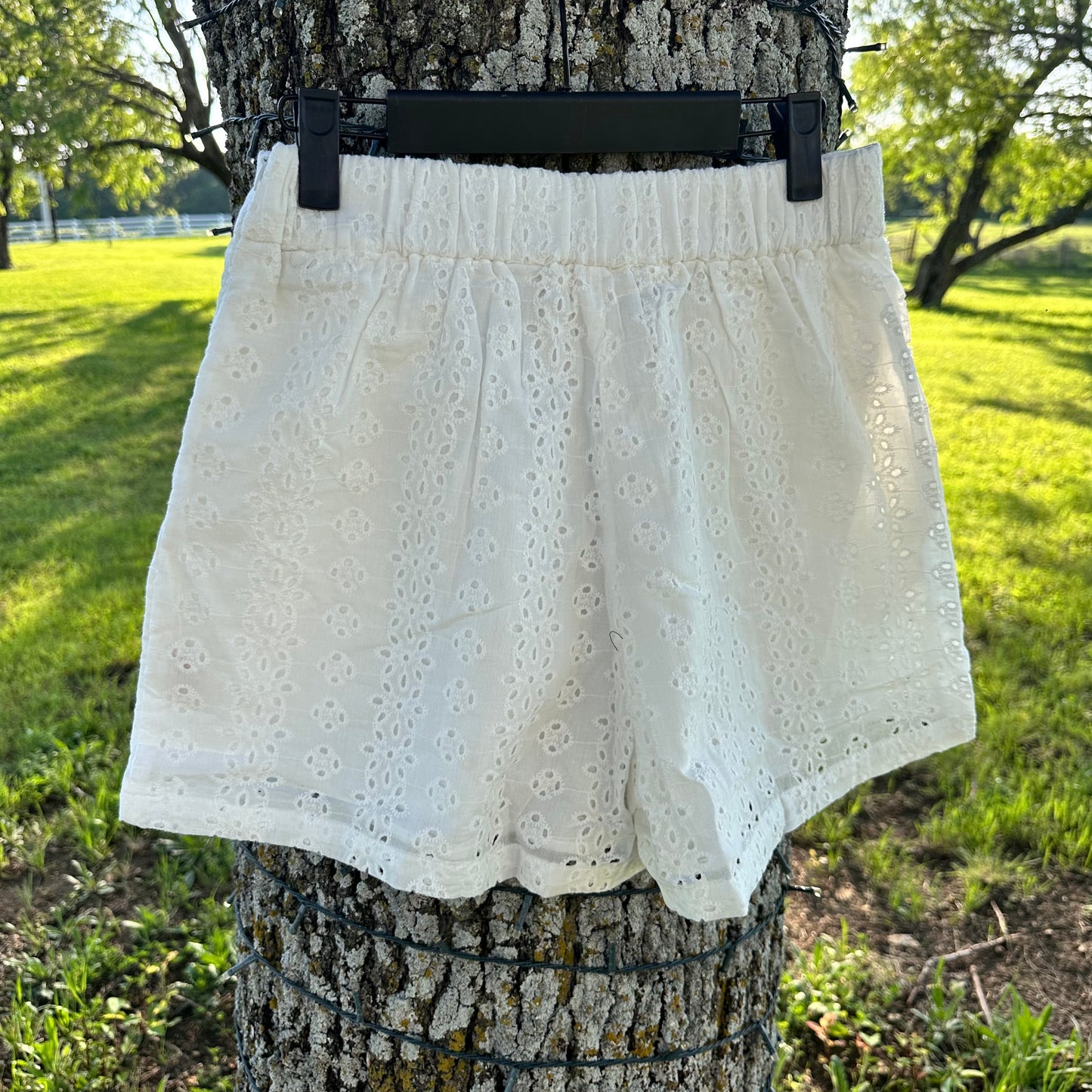 White Eyelet Shorts