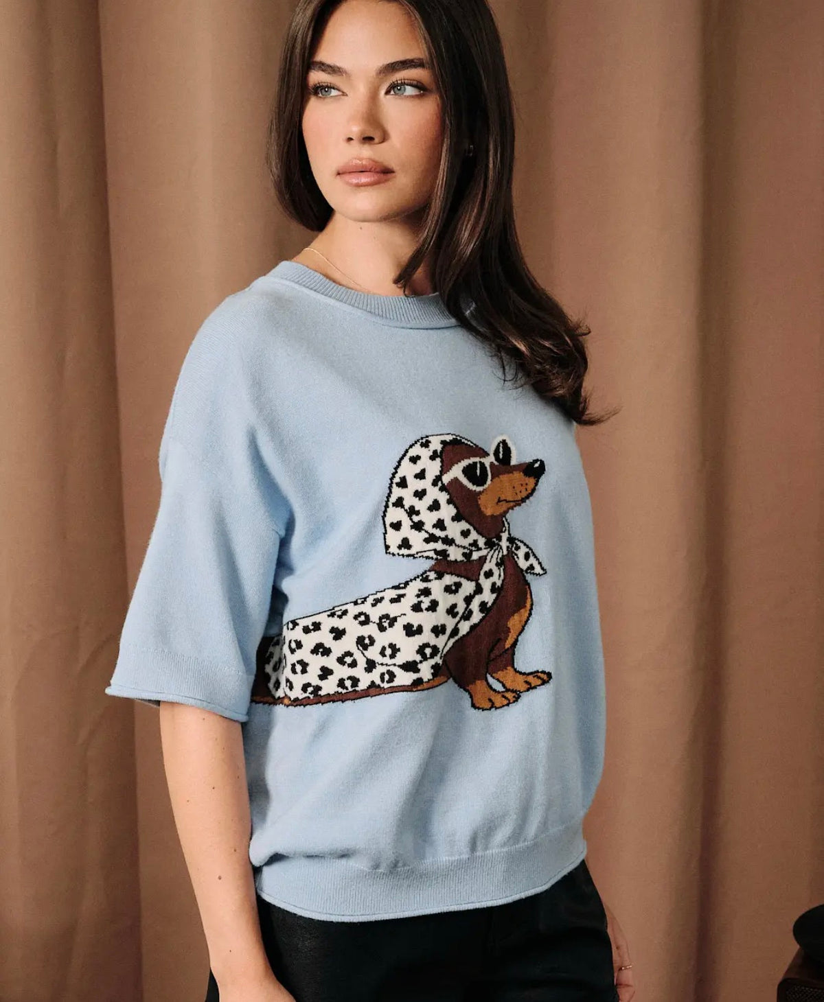 Blue Half Sleeve Dachshund Sweater