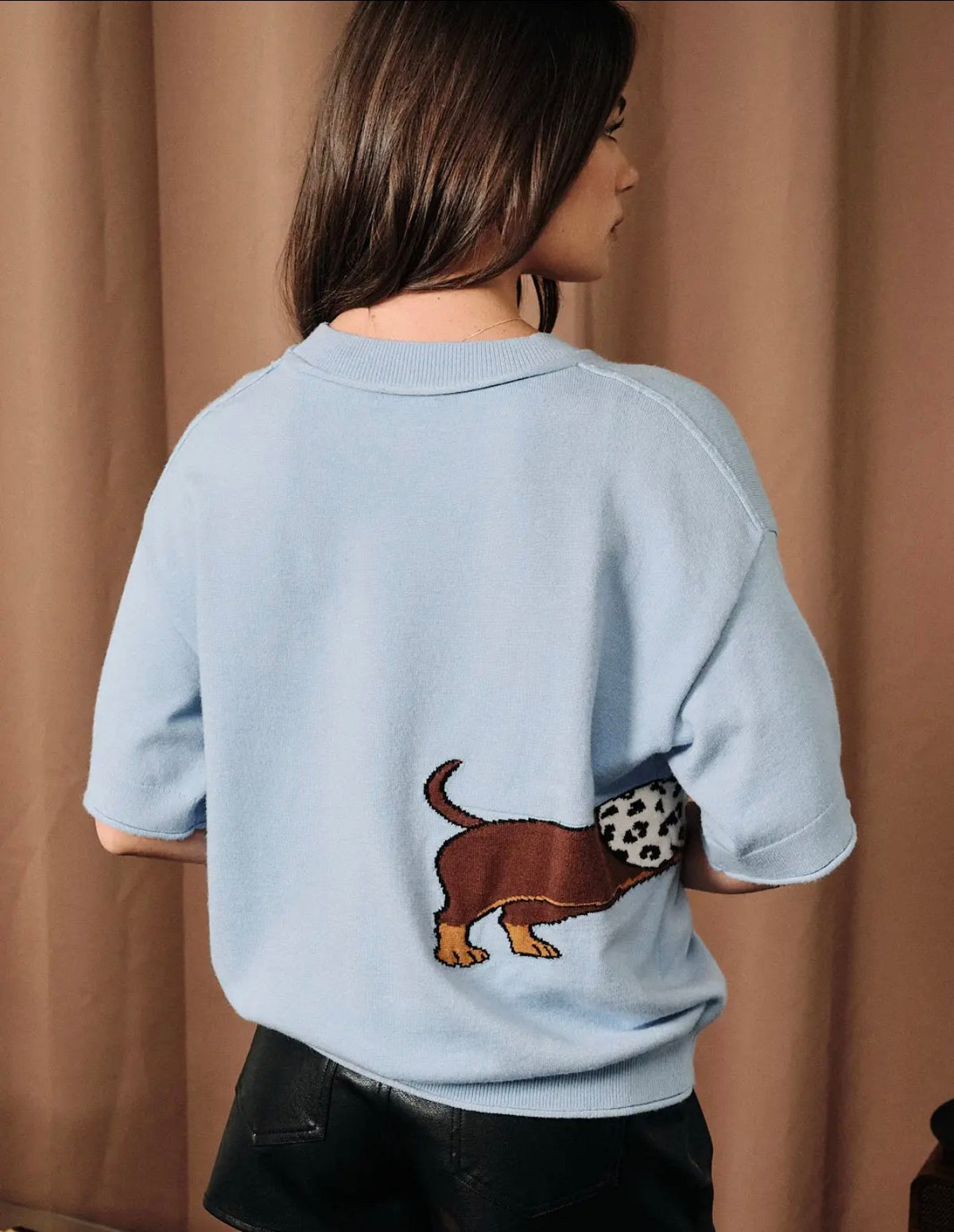 Blue Half Sleeve Dachshund Sweater