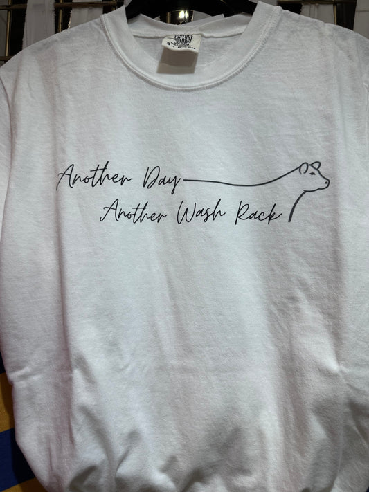 Another Day Another Wash Rack Tee