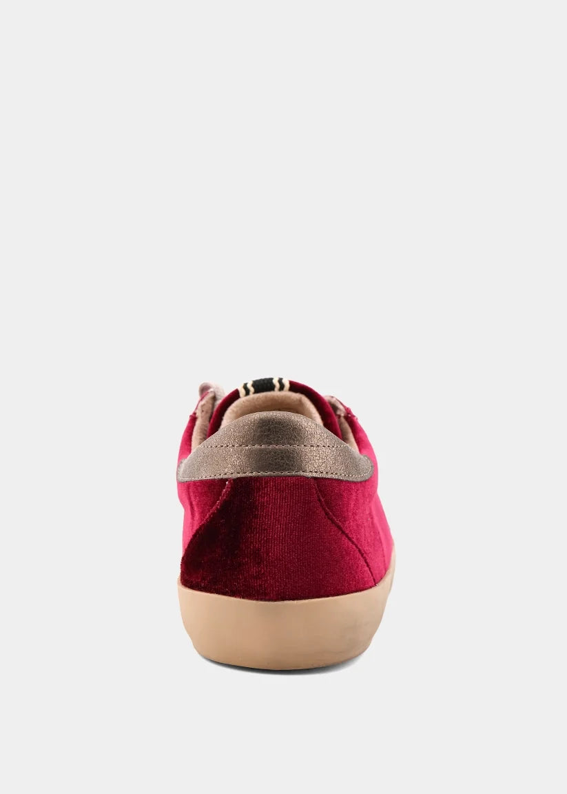 She Shop Paula Bordeaux Velvet Sneaker