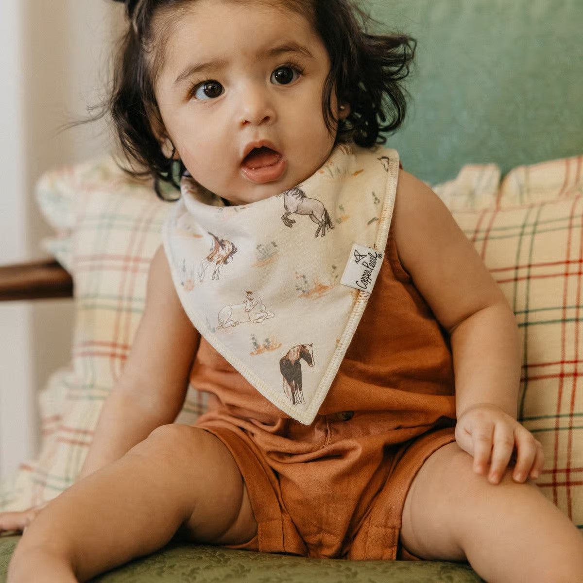Cheyenne Bandana Bib Set of 4