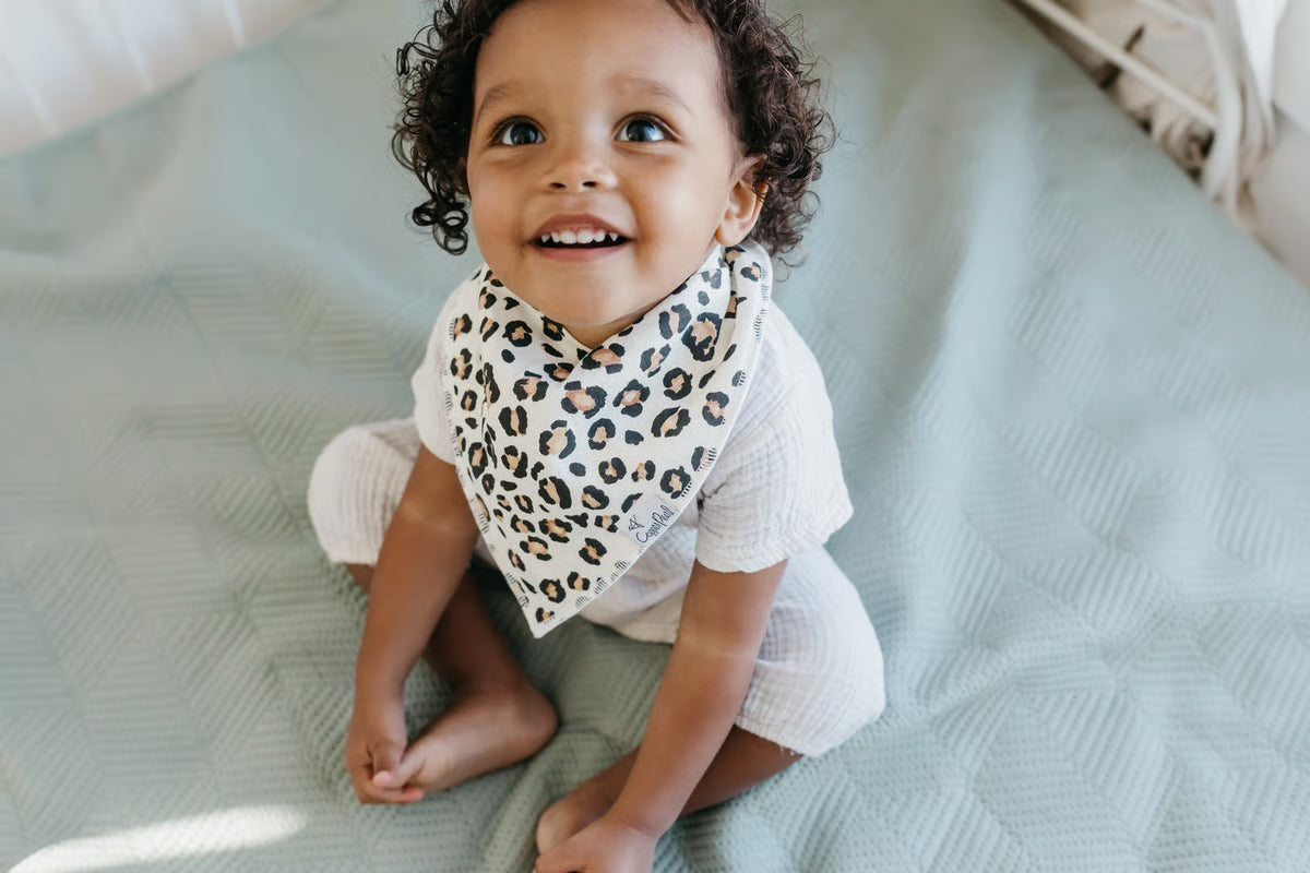 Zara Bandana Bib Set of 4