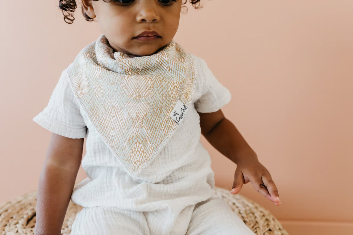Zara Bandana Bib Set of 4